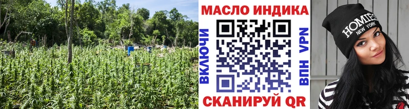 продажа наркотиков  Черноголовка  ТГК Wax 