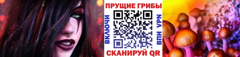 купить наркотик  Черноголовка  Псилоцибиновые грибы ЛСД 